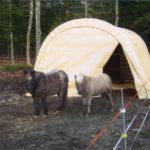 Rhino Shelter | 12'Wx20'Lx8'H Portable Livestock Shelter (Animal Run-In) Round Style | LV122008RGY, LV122008RTN