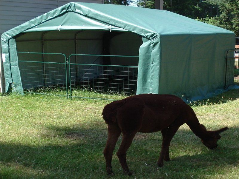 Rhino Shelter | 12'Wx12'Lx8'H Portable Livestock Shelter (Animal Run-In) | LV121208HGY, LV121208HGN