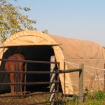 Rhino Shelter | 12'Wx20'Lx8'H Portable Livestock Shelter (Animal Run-In) Round Style | LV122008RGY, LV122008RTN