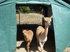 Rhino Shelter | 12'Wx20'Lx8'H Portable Livestock Shelter (Animal Run-In) House Style | LV122008HGN, LV122008HTN